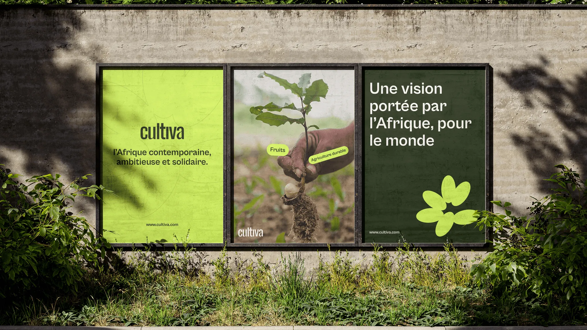 Cultiva posters in a frame
