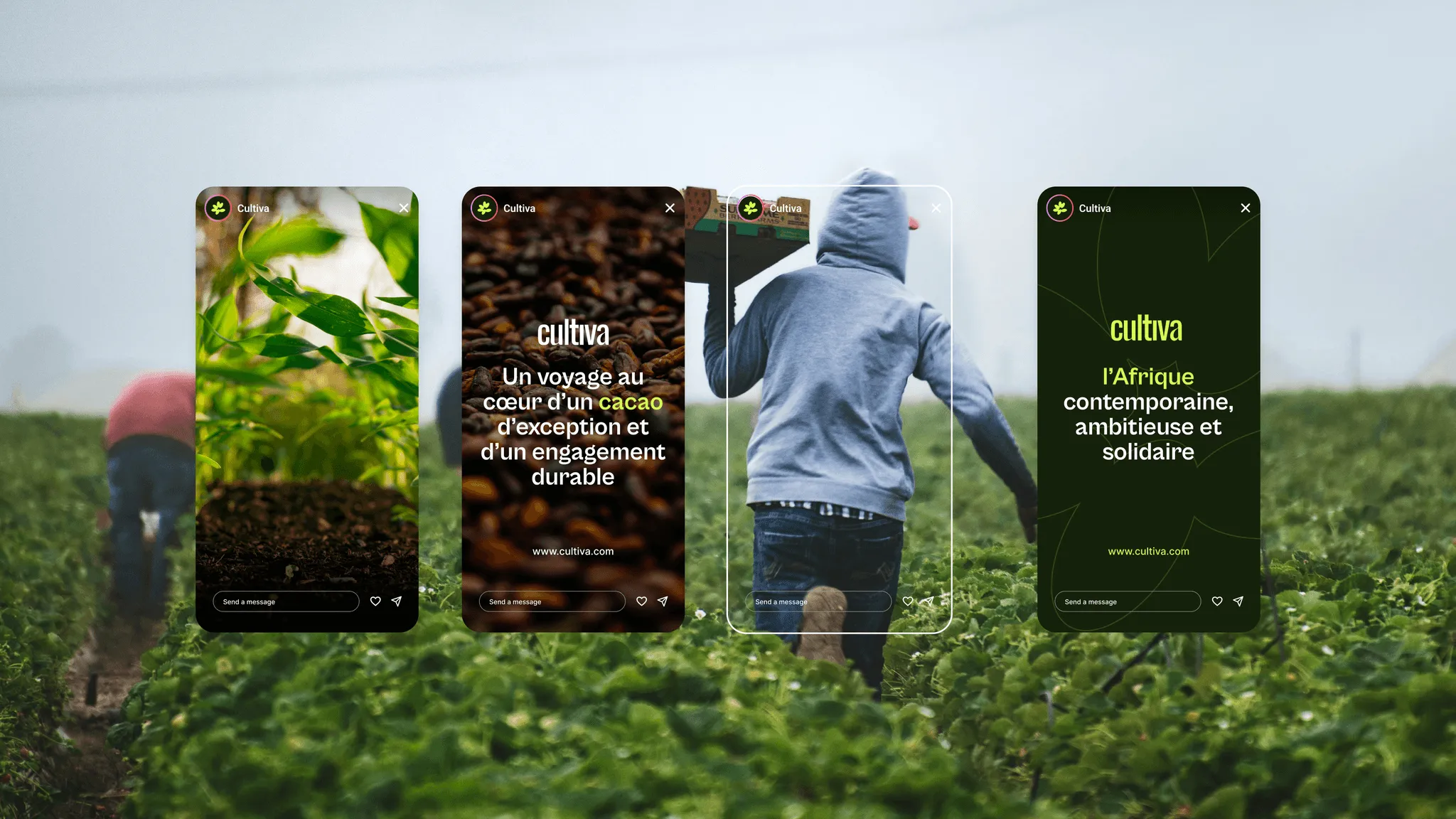 Cultiva roll-up banners in a plantation