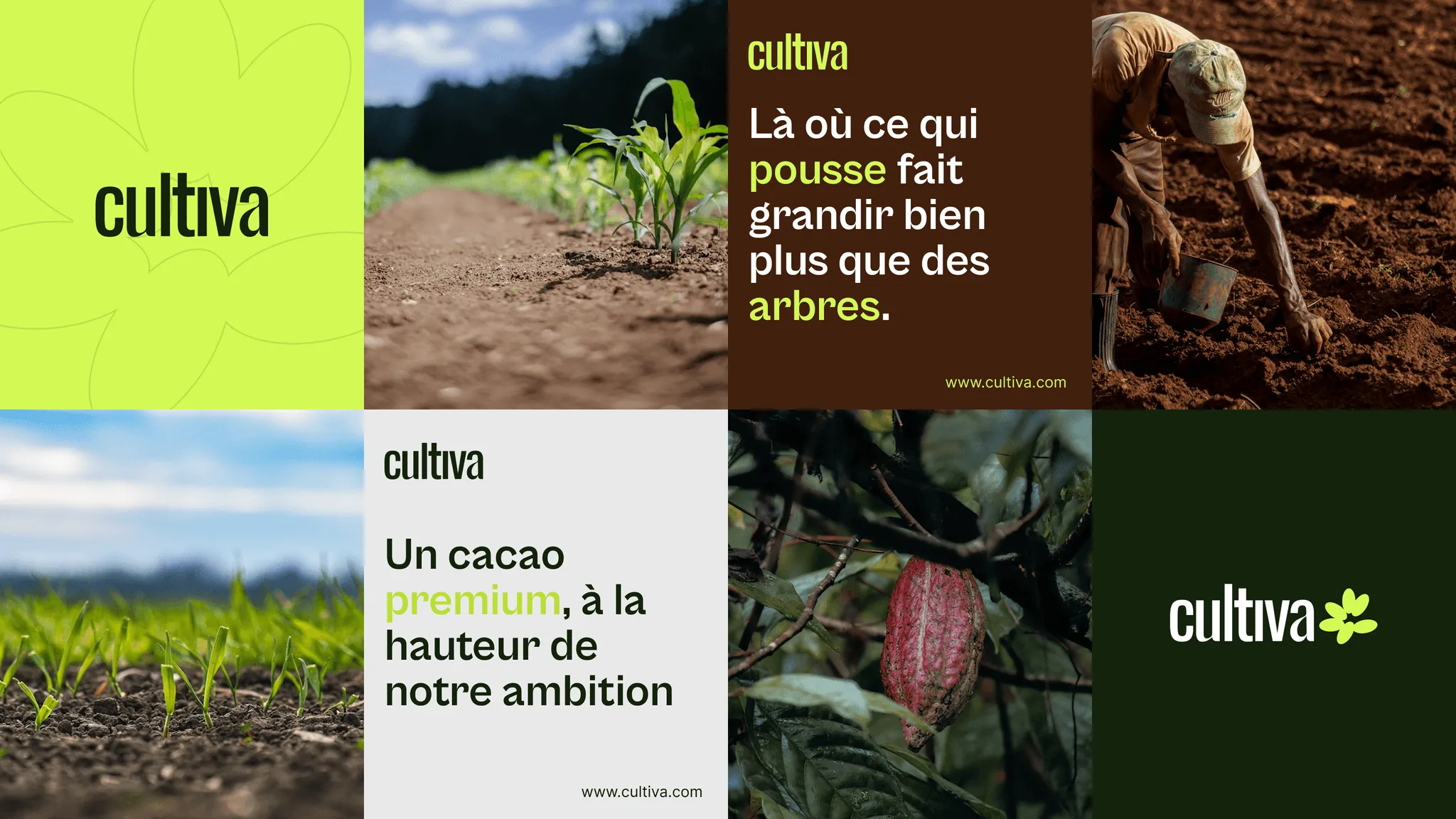 Collage of Cultiva brand visuals in the field
