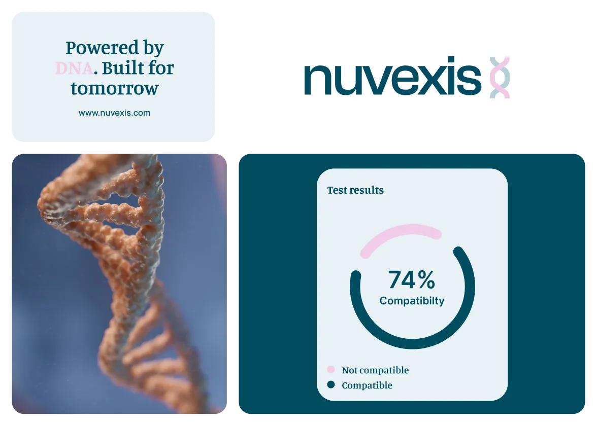 Nuvexis brand identity by Logomint